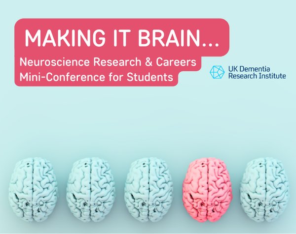 Making It Brain mini-conference